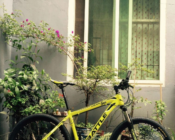 全新自行车二手价,巴适惨了1